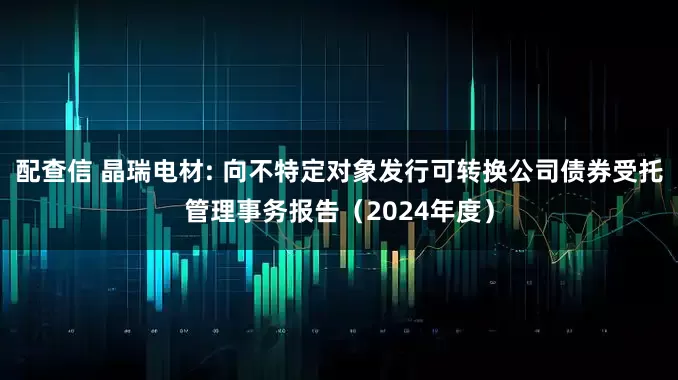 配查信 晶瑞电材: 向不特定对象发行可转换公司债券受托管理事务报告（2024年度）