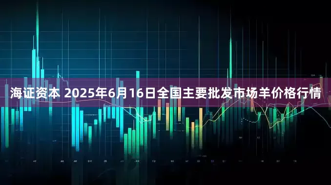 海证资本 2025年6月16日全国主要批发市场羊价格行情