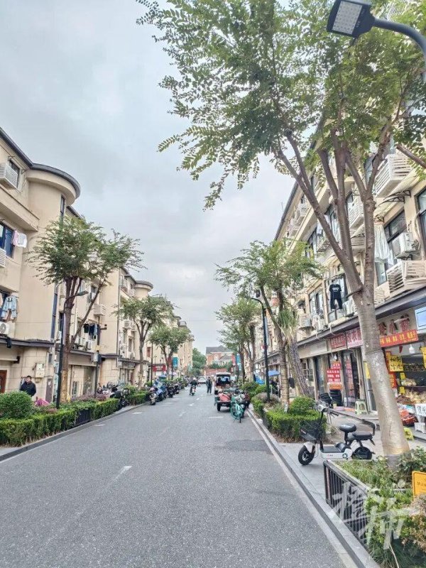 股腰包 杭州68岁丁阿姨每月房租能收2万，为啥还要做垃圾分类员？