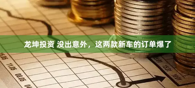龙坤投资 没出意外，这两款新车的订单爆了